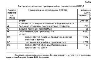 Visos Rusijos ekonominės veiklos rūšių klasifikatorius ir kodifikavimo principai