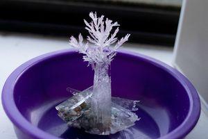 Kristalai namuose: greitai auga gražūs ir spalvingi kristalai